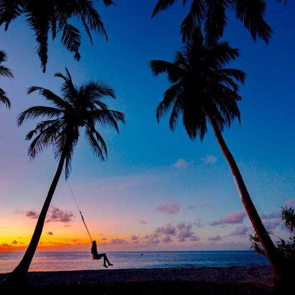 Meet your Posher, Susan - Picture 1 of 1